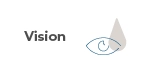vision-logo