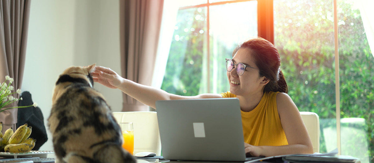 young adult searching dental insurance